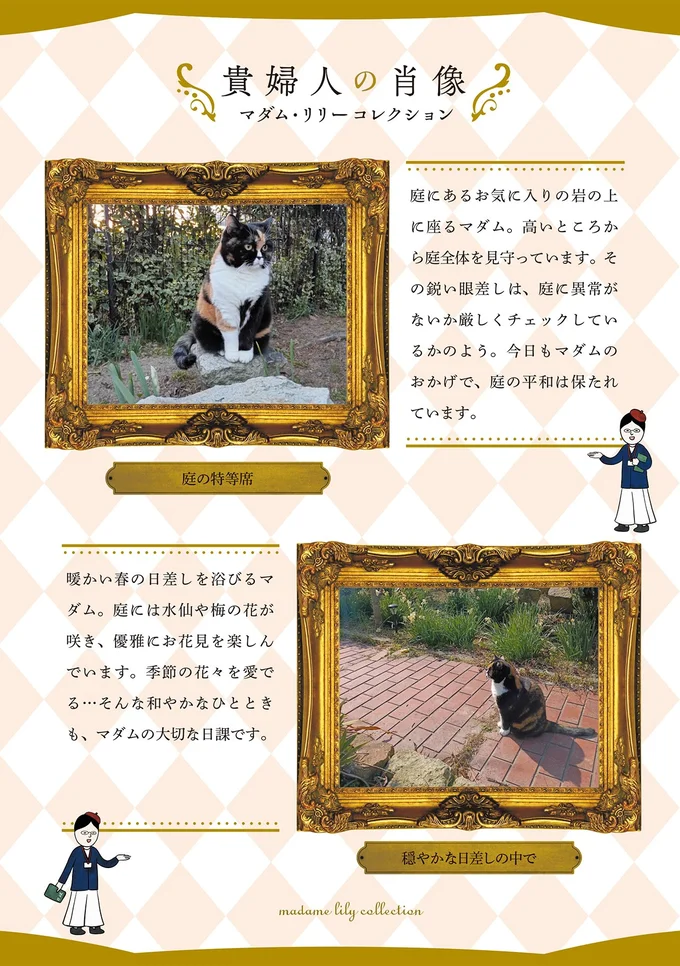 『ポーランドからやってきた マダム猫の古民家暮らし』より