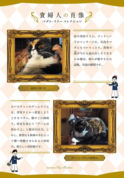 『ポーランドからやってきた マダム猫の古民家暮らし』より