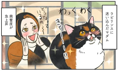 興奮度が急上昇