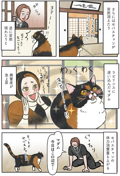 ラビリンスに迷い込んだマダム