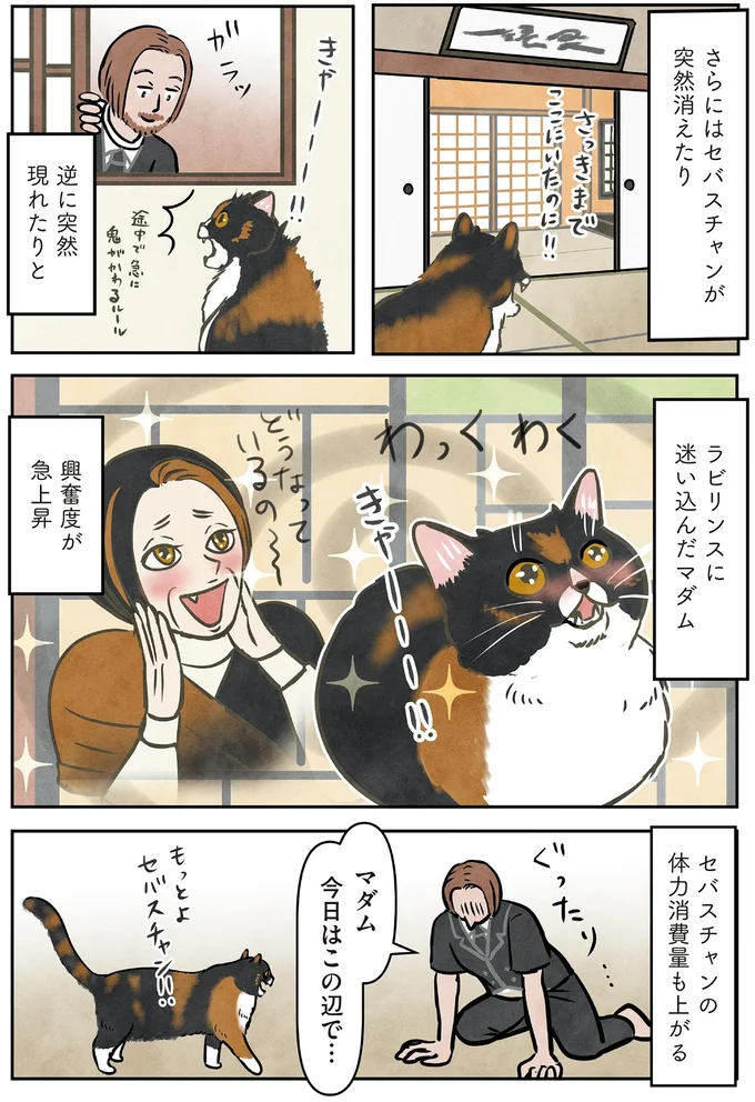 ラビリンスに迷い込んだマダム