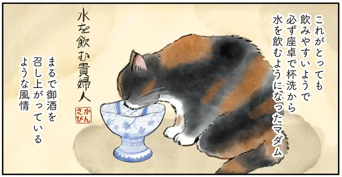 まるで「水を飲む貴婦人」！マダム猫の優雅な日常