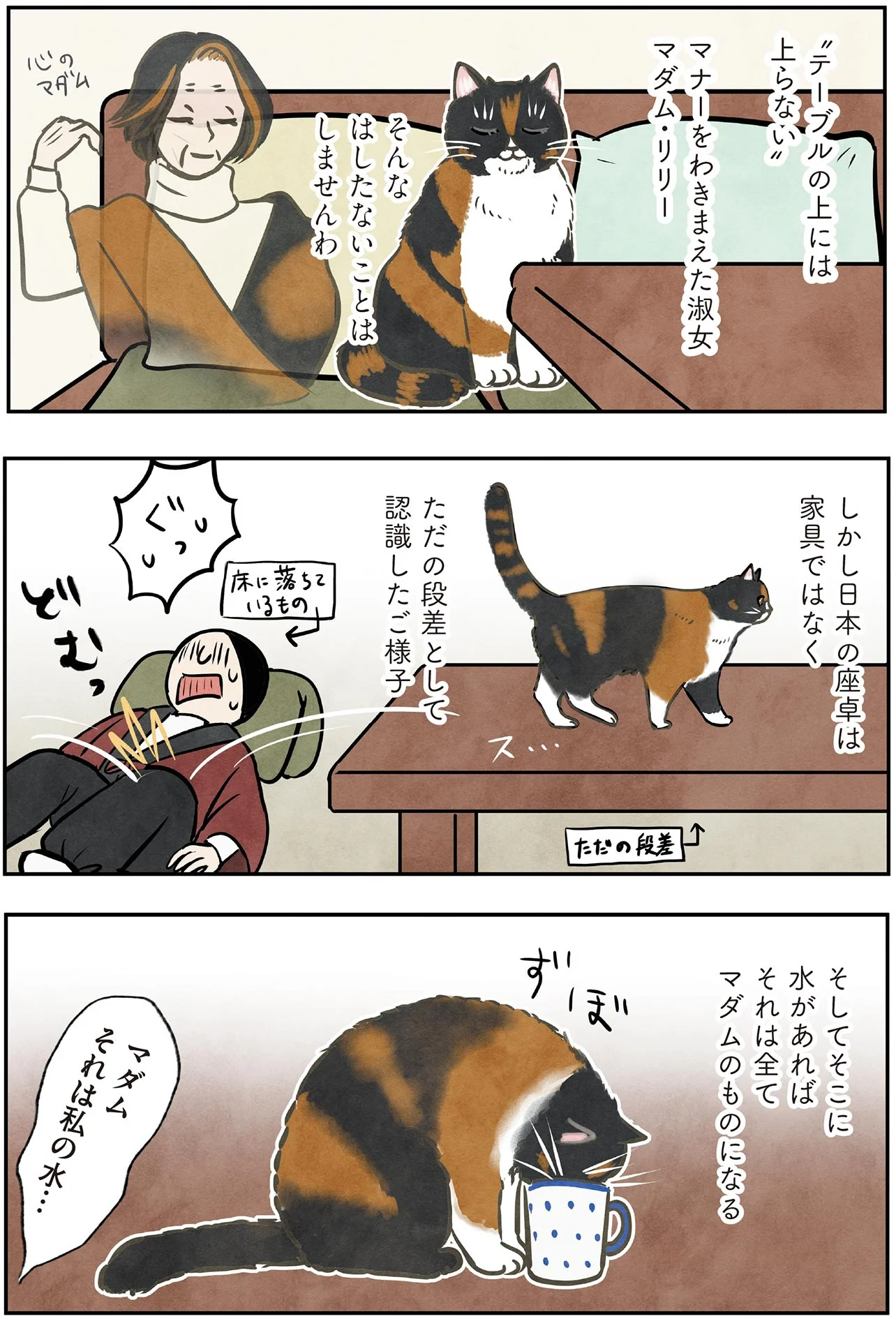 まるで「水を飲む貴婦人」！マダム猫の優雅な日常 - レタスクラブ