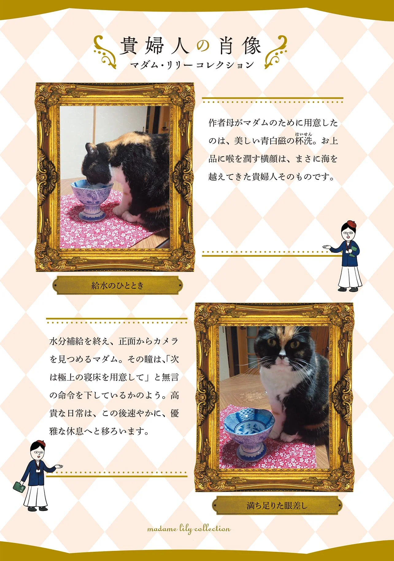 まるで「水を飲む貴婦人」！マダム猫の優雅な日常 - レタスクラブ