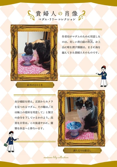貴婦人の肖像