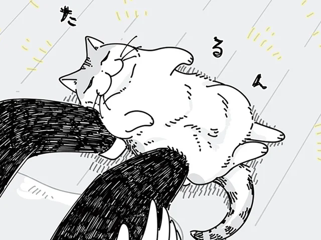 ああ、スマホを手にしておけばよかった！ 絶対に撮影したい姿を見せる猫