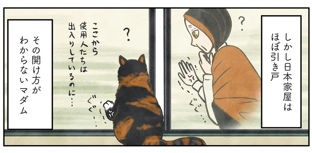 ポーランド生まれのマダム猫、不慣れな引き戸を開ける必殺技