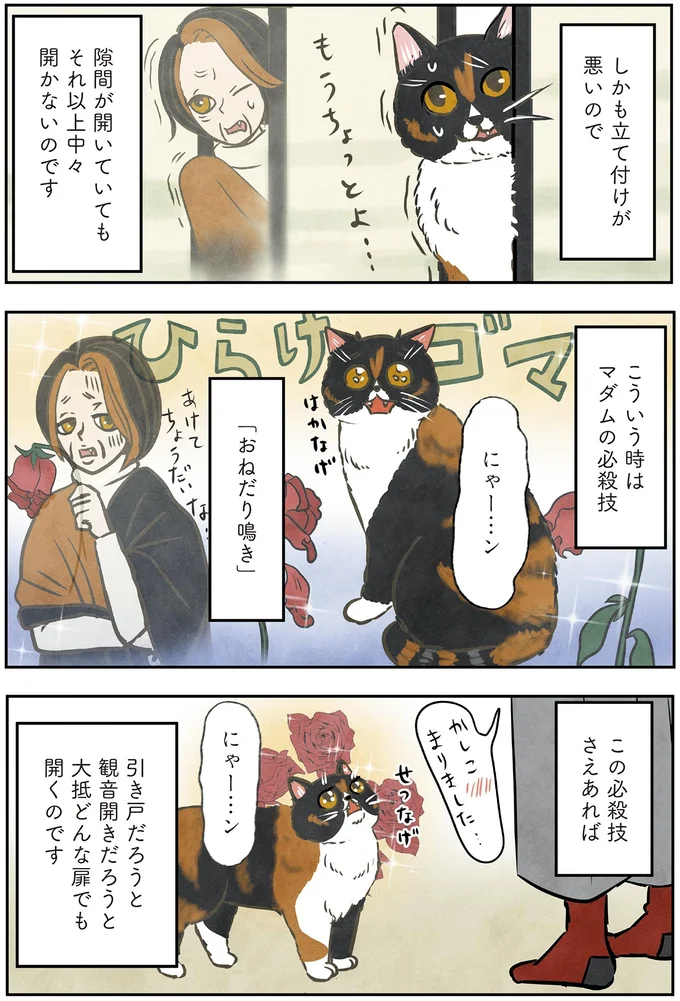 こういう時はマダムの必殺技