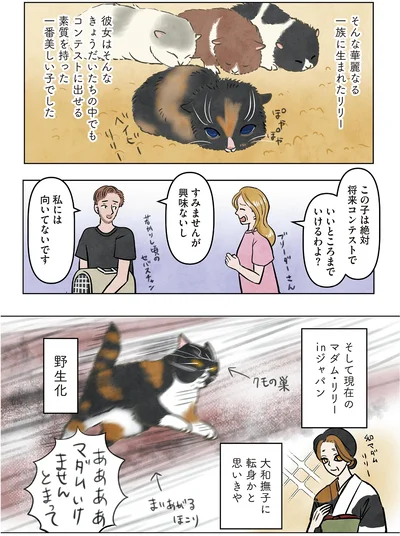 大和撫子に転身かと思いきや