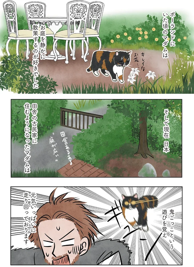 そして現在日本