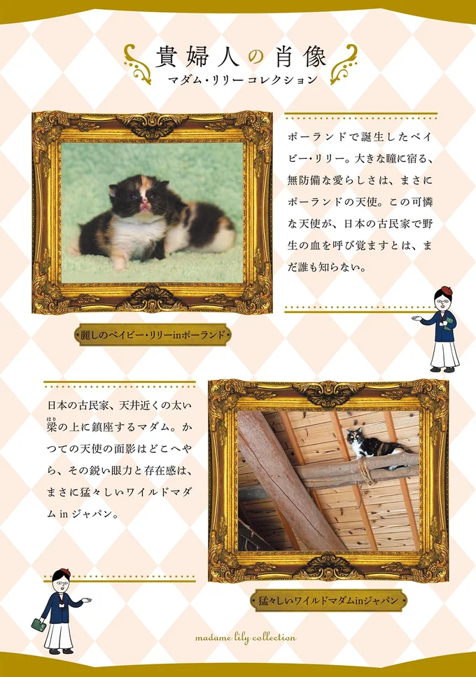 貴婦人の肖像