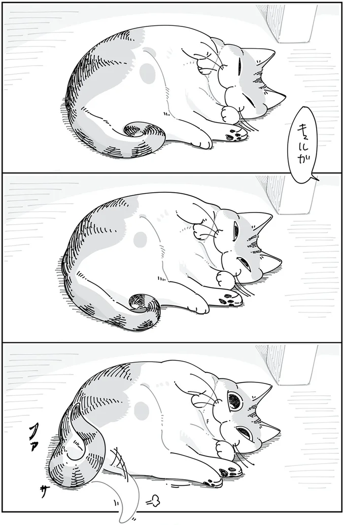 しっぽで返事