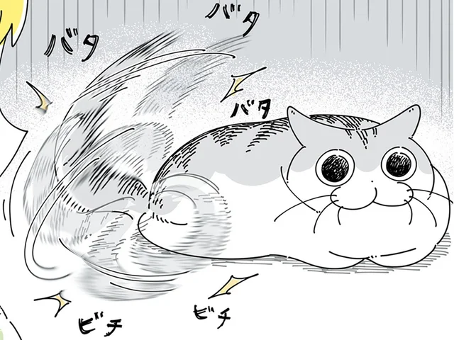 しっぽで返事してくれている？ 猫を呼んだときの反応が人によって全然違うんです