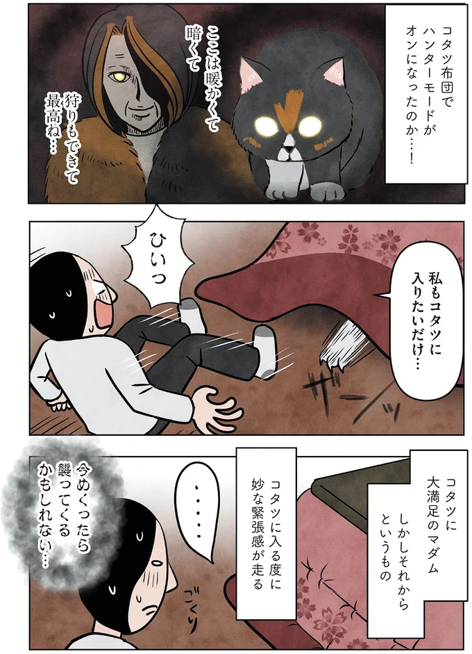 私もコタツに入りたいだけ…