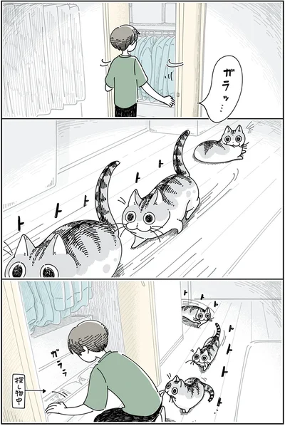 クローゼットを開くと見にくる