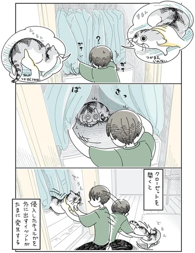 クローゼットを開くと