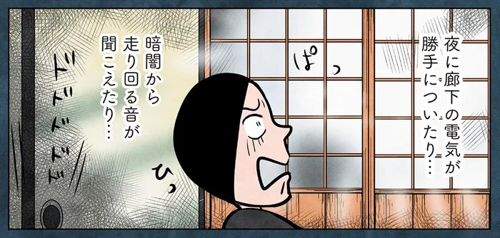 築140年の古民家で起こる怪奇現象！？正体はマダム猫！