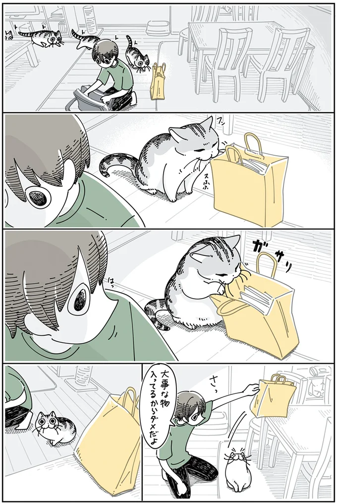 のぼれちゃったネコ