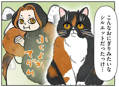 こんなおにぎりみたいなシルエットだったっけ…