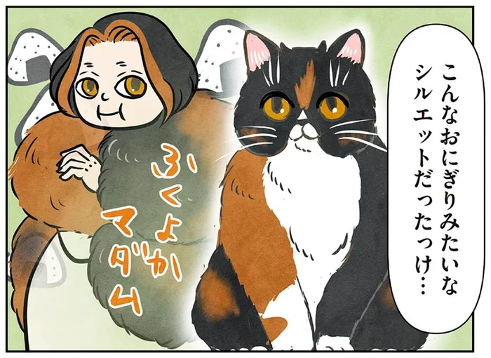 ポーランドからやってきたマダム猫が、おにぎりみたいになった理由