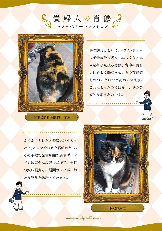 貴婦人の肖像
