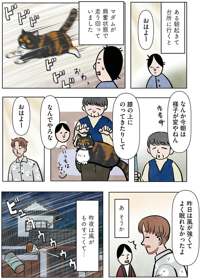 なんか今朝は様子が変やねん