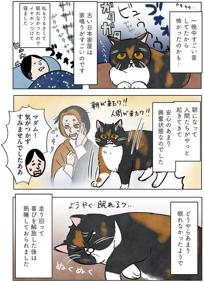 マダム！気がつかずすみませんでしたああ