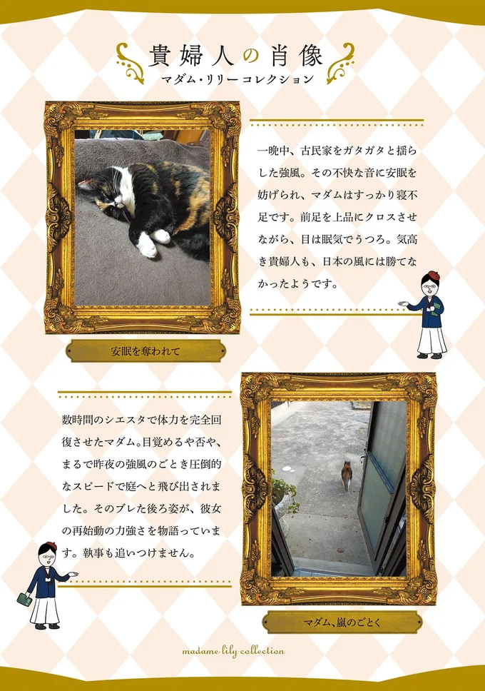 貴婦人の肖像
