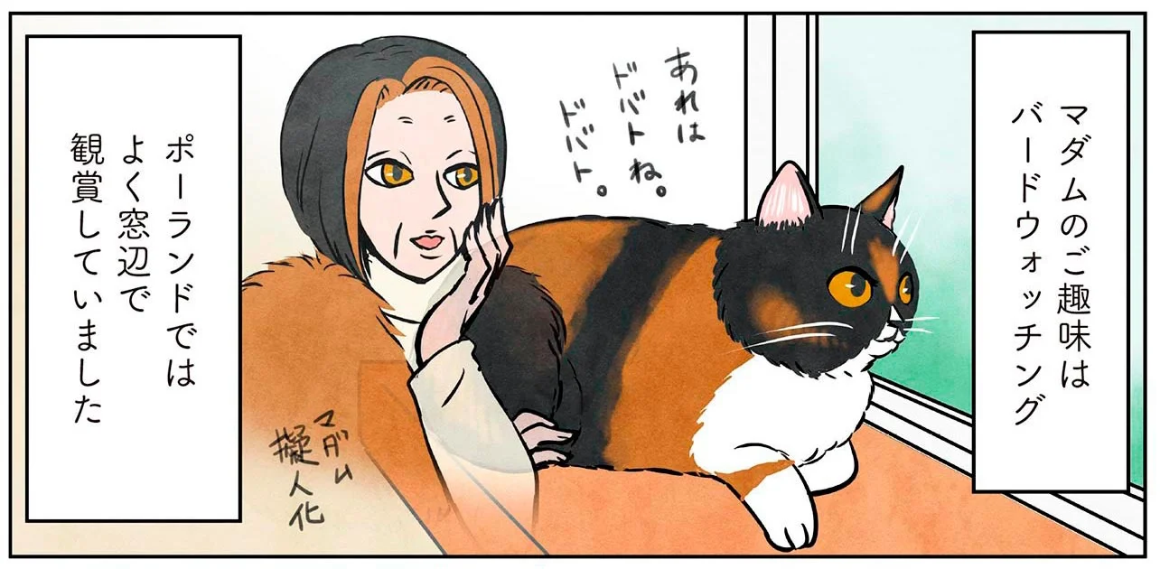 バードウォッチングが趣味のマダム猫。日本での新スタイル