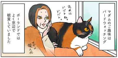 マダムのご趣味はバードウォッチング