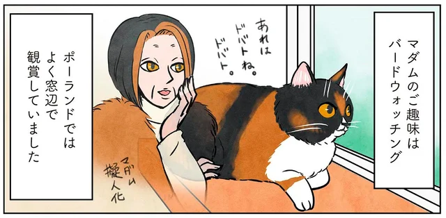 バードウォッチングが趣味のマダム猫。日本での新スタイル！？