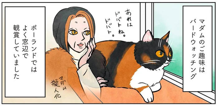 バードウォッチングが趣味のマダム猫。日本での新スタイル！？