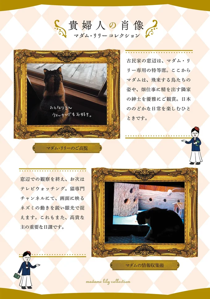 貴婦人の肖像