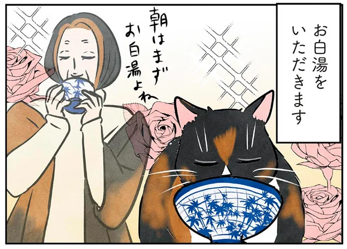 お白湯に時々ヨガ！？意識高い系マダム猫のモーニングルーティン