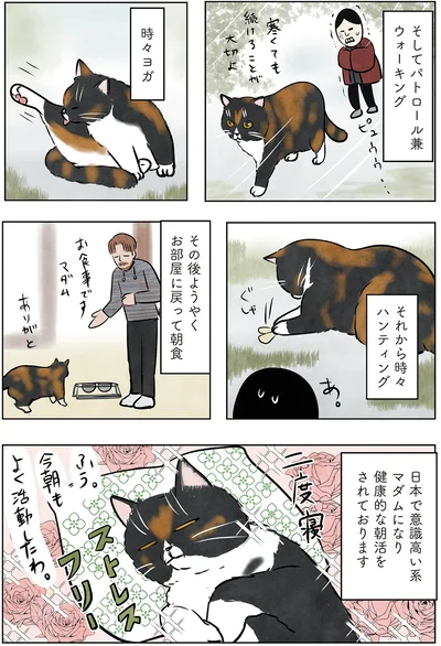 健康的な朝活をされております