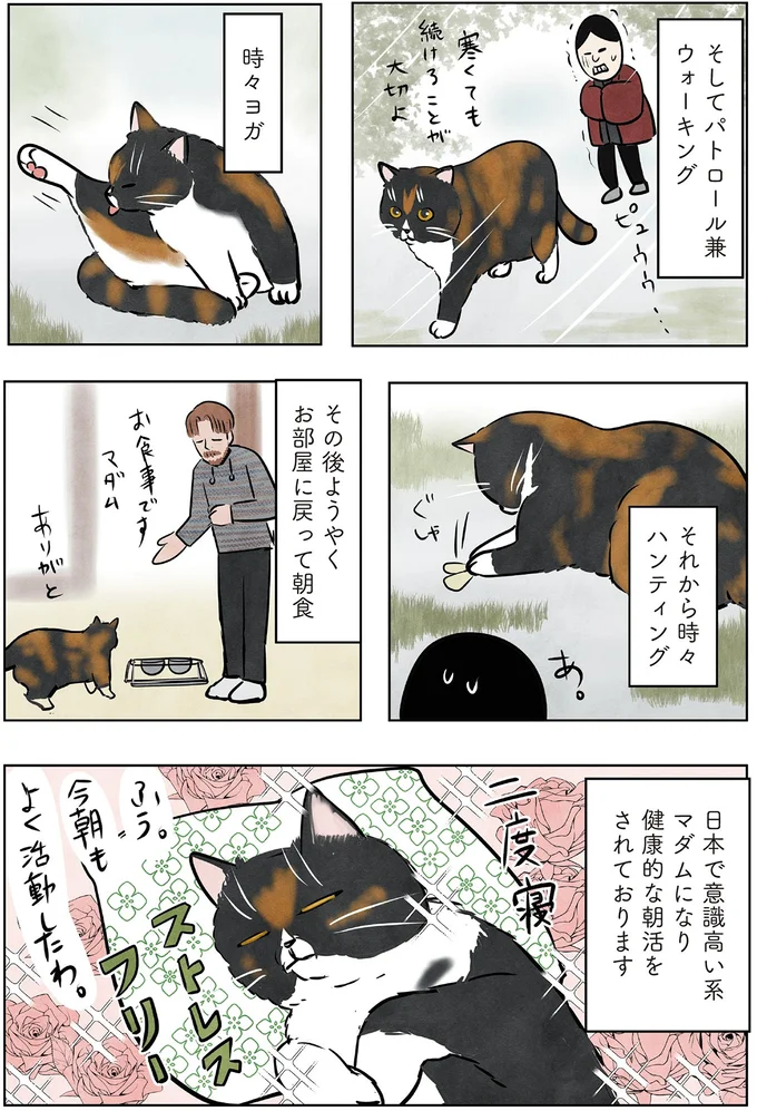健康的な朝活をされております