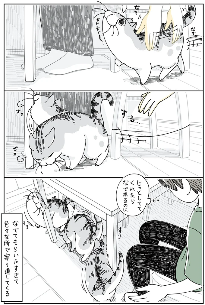 じっとしててくれたら
