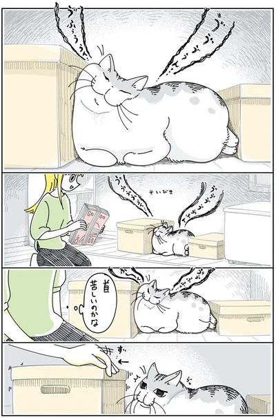 すごい寝相