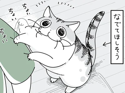 撫でてほしそうにやってくる猫