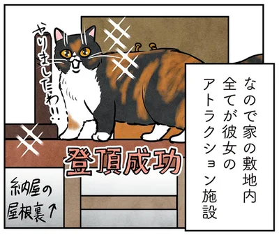 家の敷地内全てが彼女のアトラクション施設