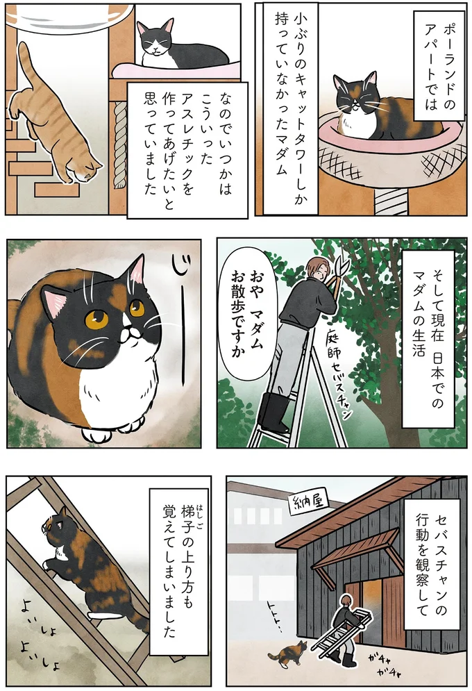 おやマダム　お散歩ですか