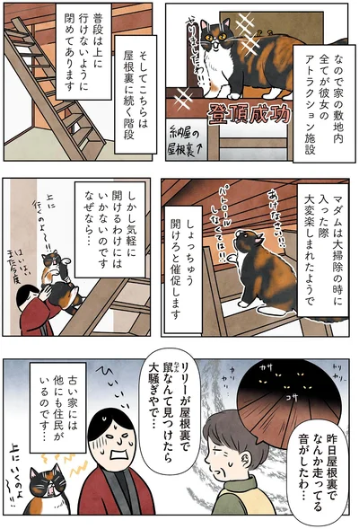 古い家には他にも住民がいるのです…