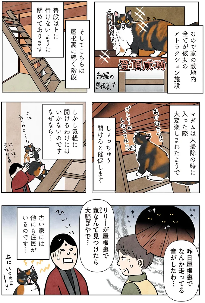 古い家には他にも住民がいるのです…