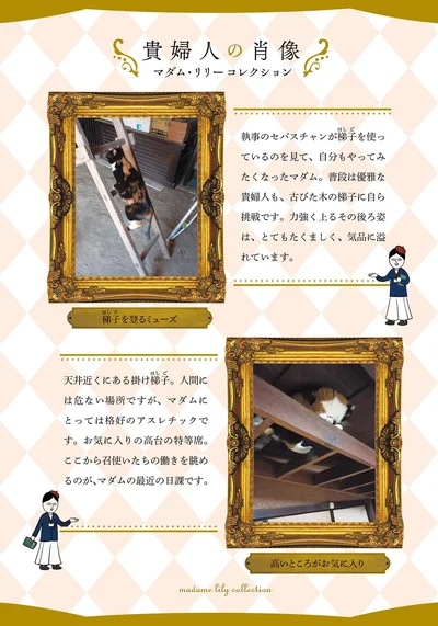 貴婦人の肖像