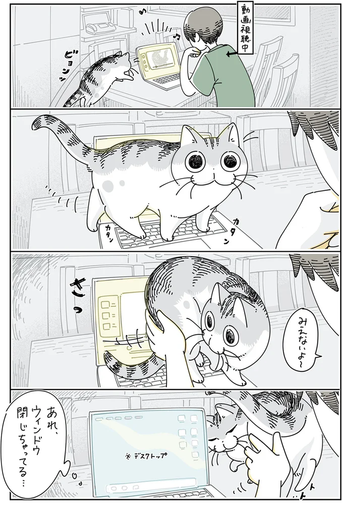 ショートカットキーを使うネコ