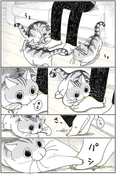 やんちゃモードなネコ