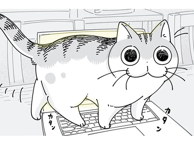 どういう偶然？ パソコンのショートカットキーを巧みに使うネコが面白い