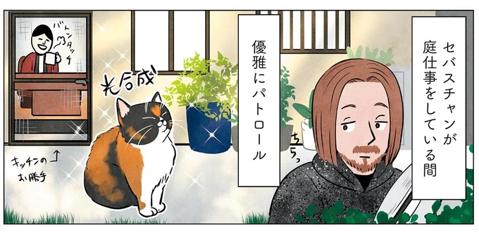 優雅にパトロール