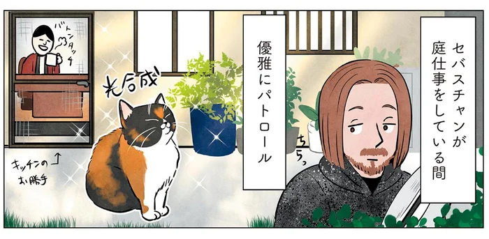 まずはお庭をパトロール。マダム猫の散歩コース