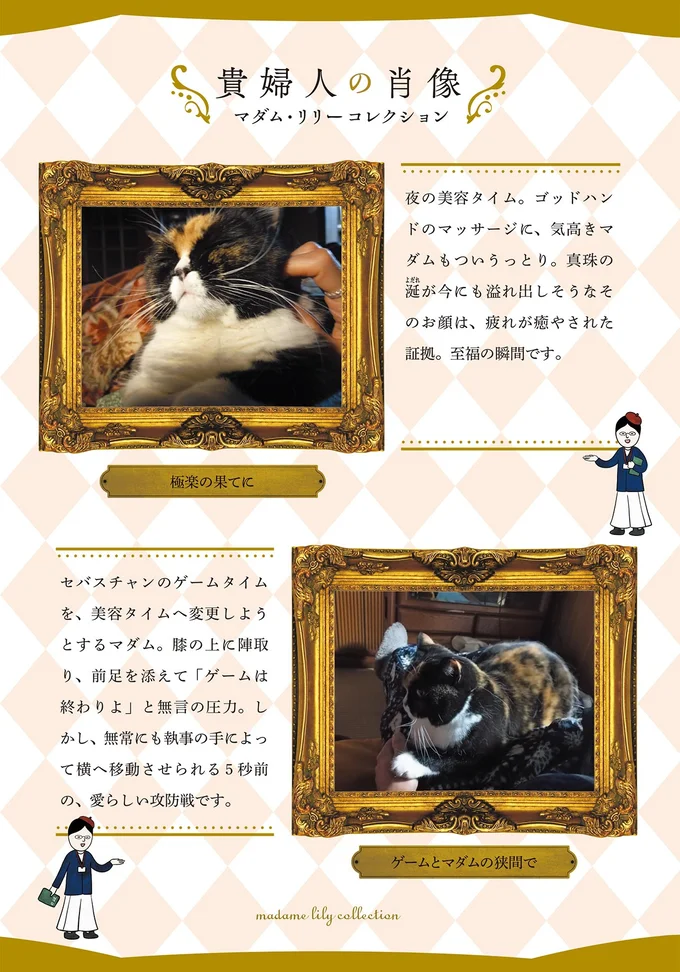 貴婦人の肖像